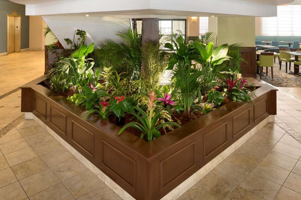 Hilton Garden Inn Worcester Interiør billede